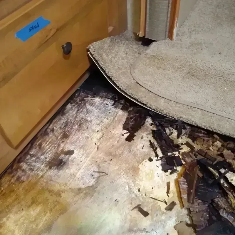 Wood Floor Water Damage in Imlay City, MI